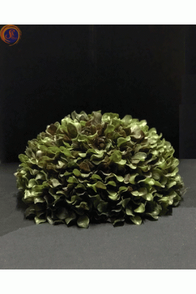 Кущ самшиту