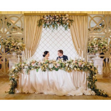 Задник для молодих