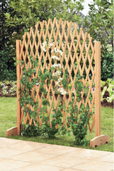 Паркан декоративний