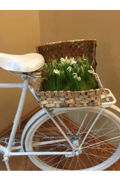 Фотозона «Дорога у прованс»