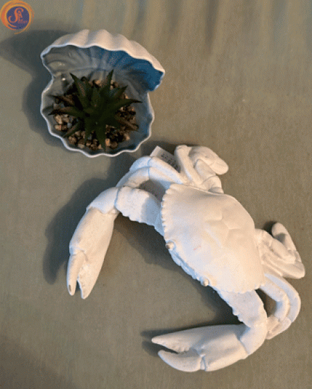 Декоративна мушля