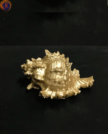 Мушля рапана золота