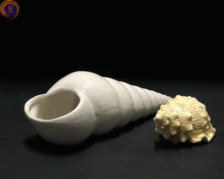 Мушля спіральна декоративна