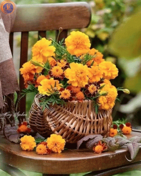 Композиції осінні