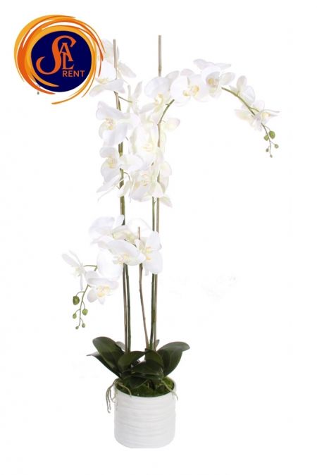 Орхидея в горшке (1,4 м)