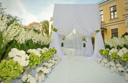 Оренда килимової доріжки на весілля | SAL-rent